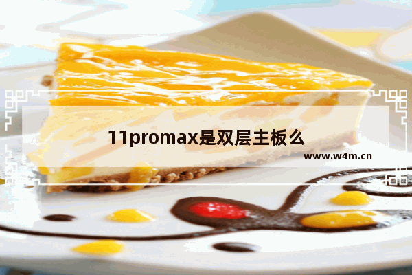 11promax是双层主板么