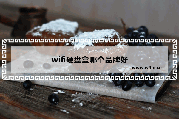 wifi硬盘盒哪个品牌好