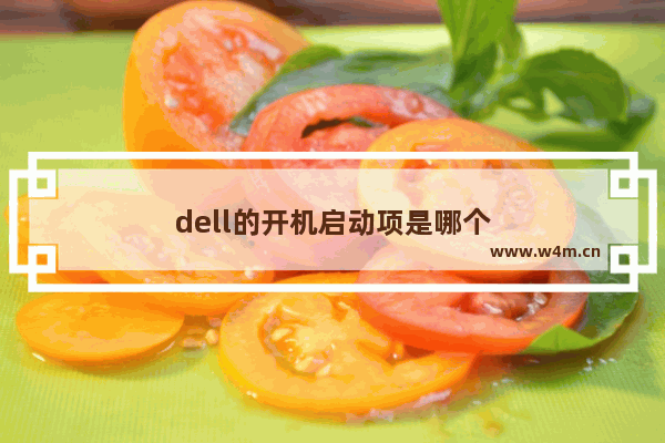 dell的开机启动项是哪个