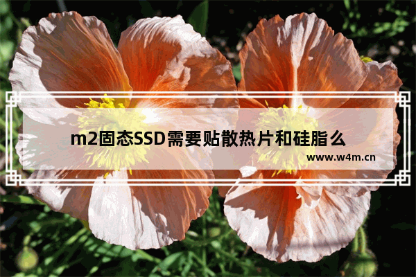 m2固态SSD需要贴散热片和硅脂么