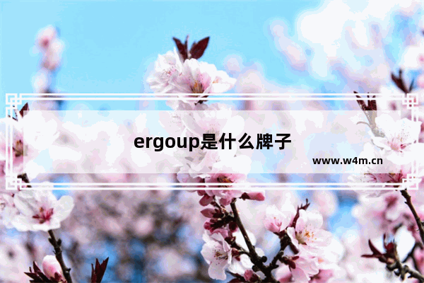 ergoup是什么牌子