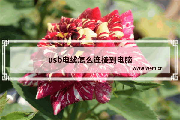 usb电缆怎么连接到电脑