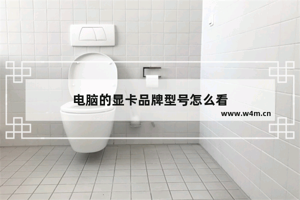 电脑的显卡品牌型号怎么看