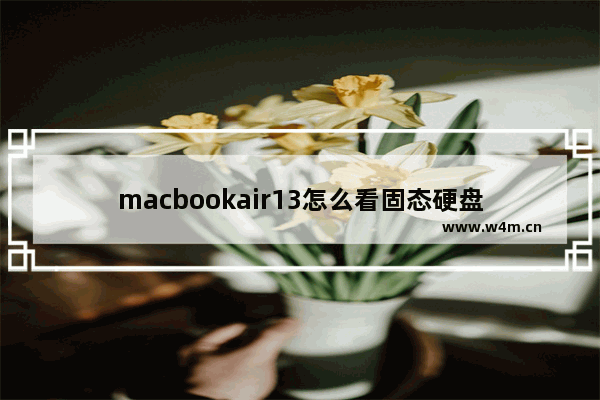 macbookair13怎么看固态硬盘