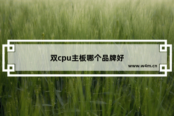 双cpu主板哪个品牌好