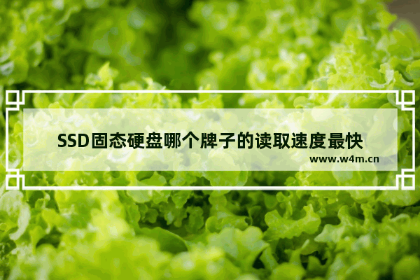 SSD固态硬盘哪个牌子的读取速度最快