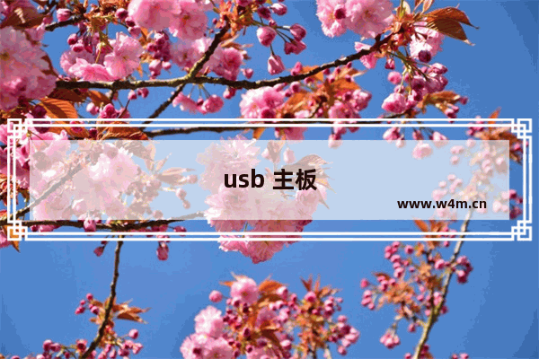 usb 主板