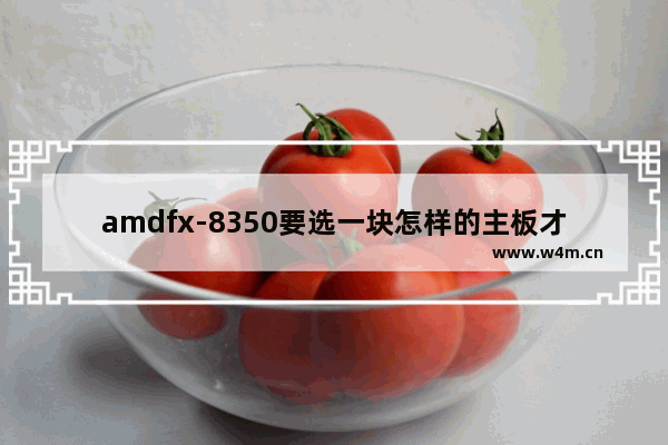 amdfx-8350要选一块怎样的主板才能完全发挥其性能