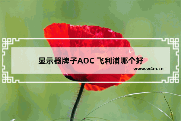 显示器牌子AOC 飞利浦哪个好