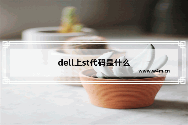 dell上st代码是什么