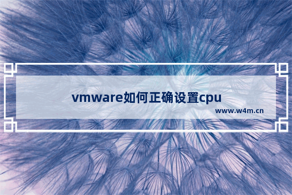 vmware如何正确设置cpu