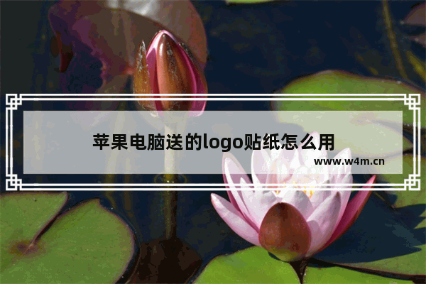 苹果电脑送的logo贴纸怎么用