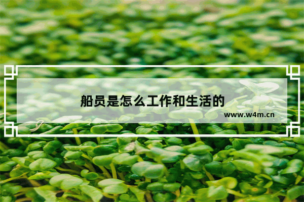 船员是怎么工作和生活的