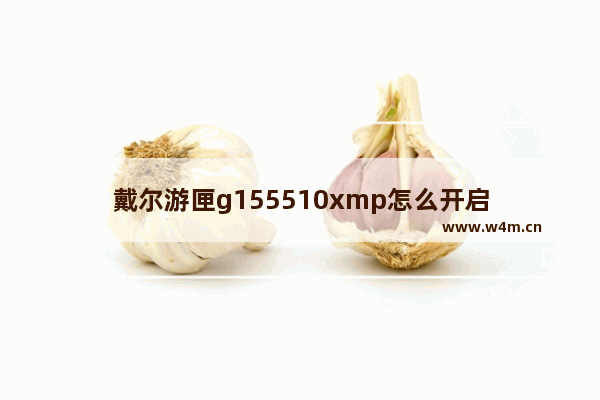 戴尔游匣g155510xmp怎么开启