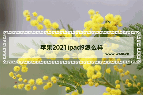 苹果2021ipad9怎么样