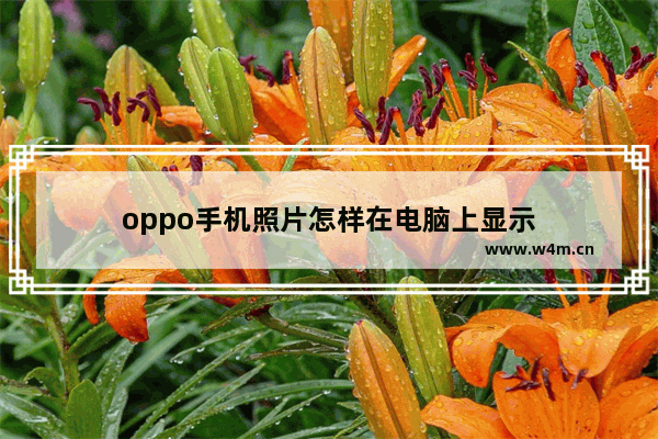 oppo手机照片怎样在电脑上显示