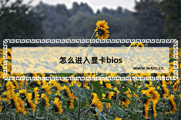 怎么进入显卡bios