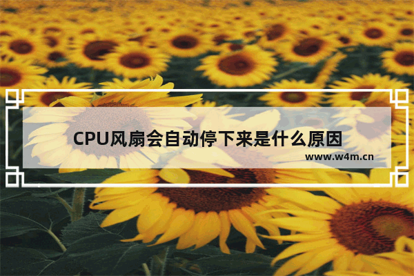 CPU风扇会自动停下来是什么原因