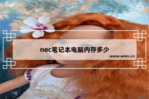 nec笔记本电脑内存多少