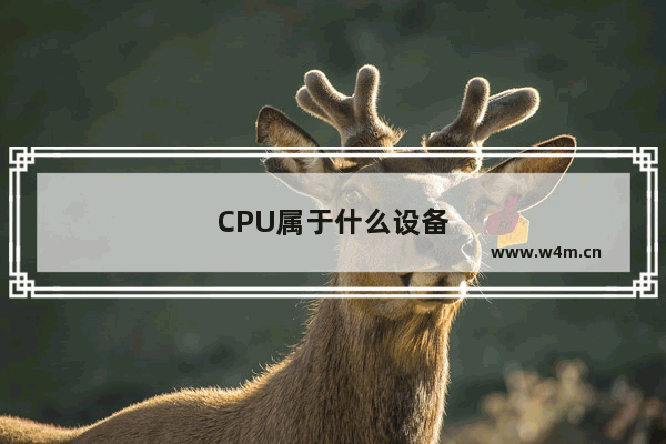 CPU属于什么设备