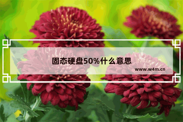 固态硬盘50%什么意思