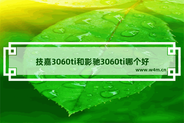 技嘉3060ti和影驰3060ti哪个好