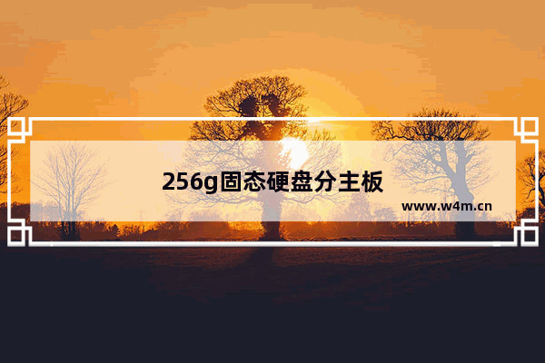 256g固态硬盘分主板