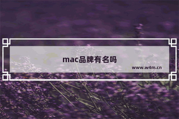 mac品牌有名吗