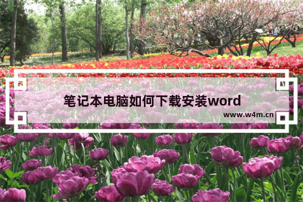 笔记本电脑如何下载安装word