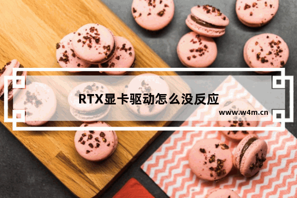 RTX显卡驱动怎么没反应