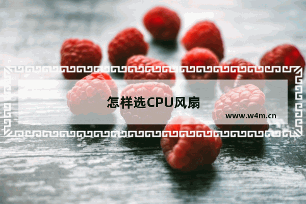 怎样选CPU风扇