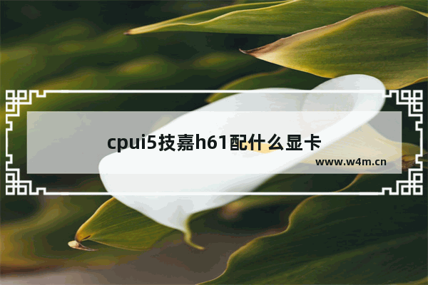 cpui5技嘉h61配什么显卡