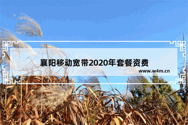 襄阳移动宽带2020年套餐资费