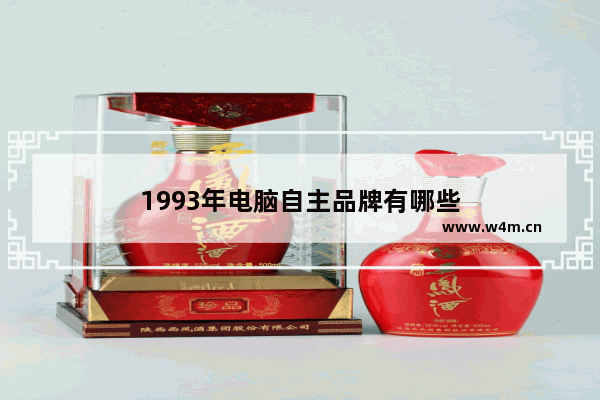 1993年电脑自主品牌有哪些