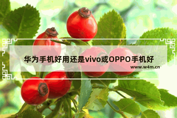 华为手机好用还是vivo或OPPO手机好用