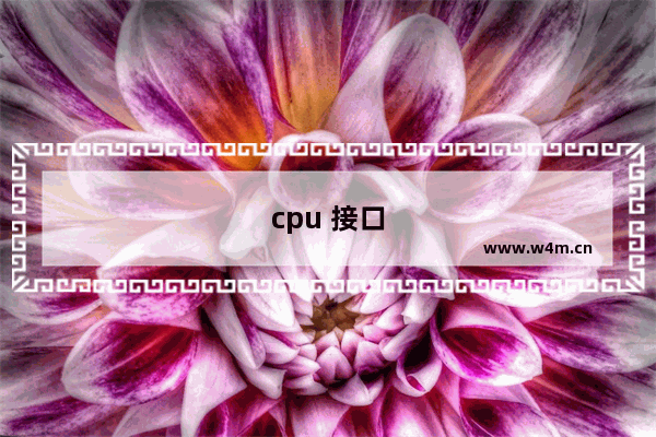 cpu 接口