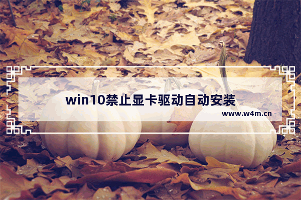 win10禁止显卡驱动自动安装