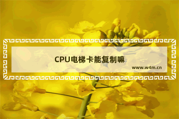 CPU电梯卡能复制嘛