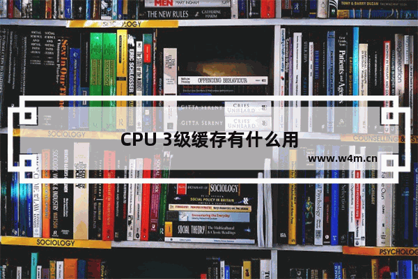 CPU 3级缓存有什么用