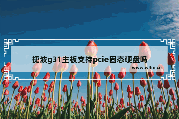 捷波g31主板支持pcie固态硬盘吗