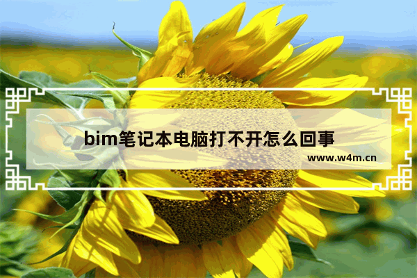 bim笔记本电脑打不开怎么回事