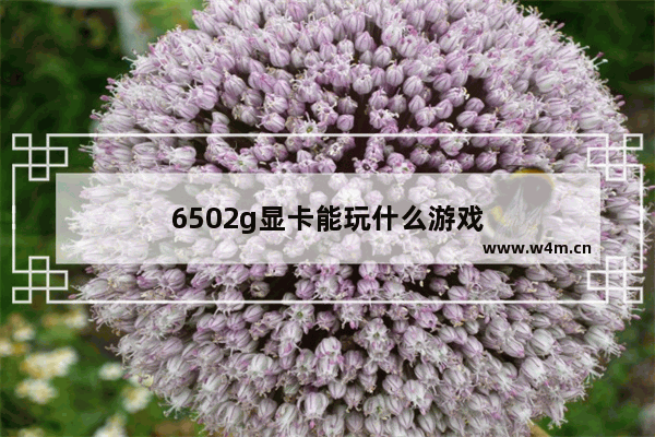 6502g显卡能玩什么游戏