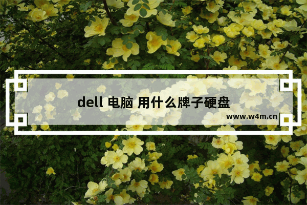 dell 电脑 用什么牌子硬盘