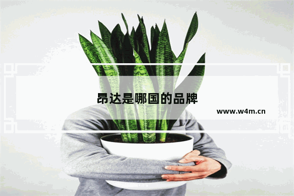 昂达是哪国的品牌