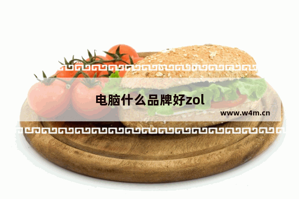 电脑什么品牌好zol