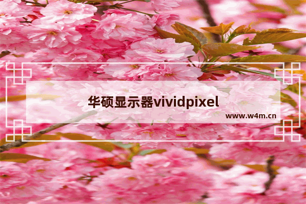 华硕显示器vividpixel