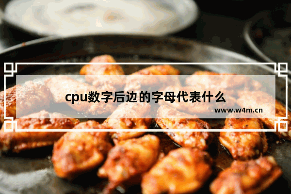 cpu数字后边的字母代表什么