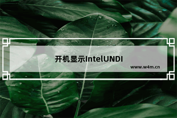 开机显示IntelUNDI