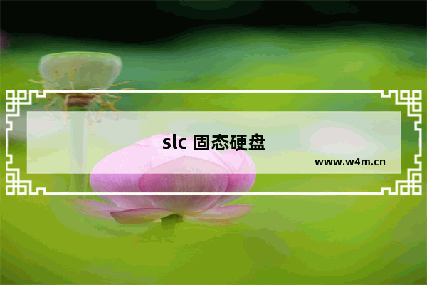 slc 固态硬盘