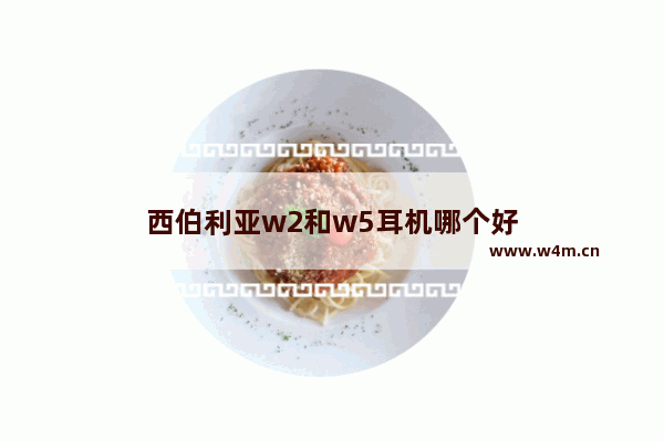 西伯利亚w2和w5耳机哪个好